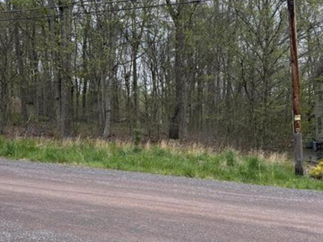Land for sale in Pocono Lake, Tobyhanna Township