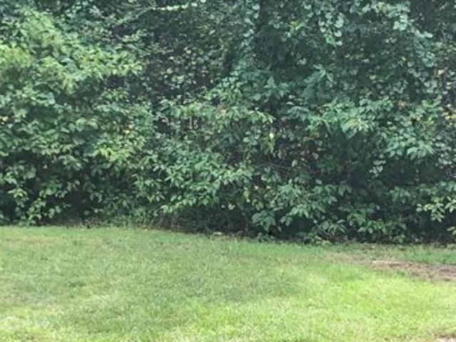 Land for sale in Edenton
