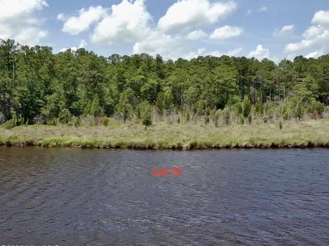 Land for sale in Belhaven, North Carolina