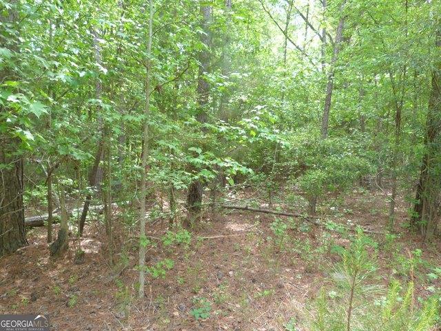 Land for sale in Appling, Georgia