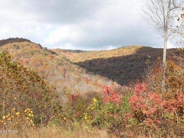 Land for sale in Tennessee