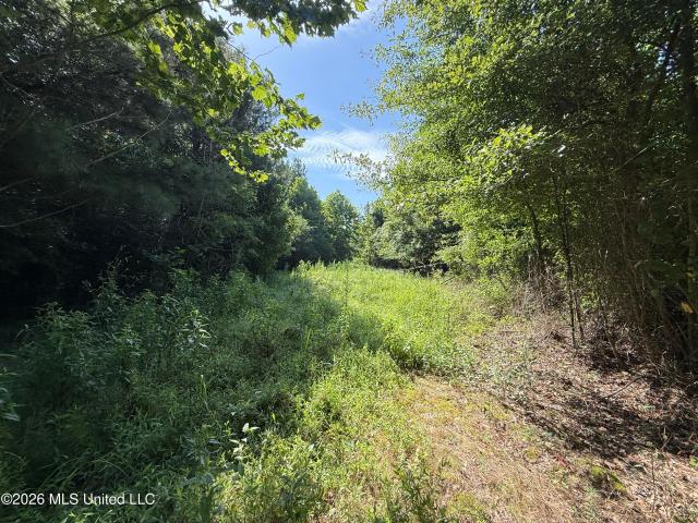 Land for sale in Kilmichael, Mississippi