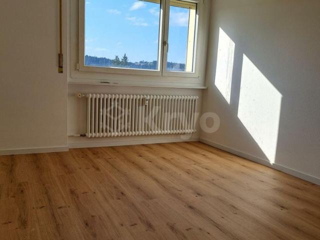 Apartment mieten in La Chaux-de-Fonds