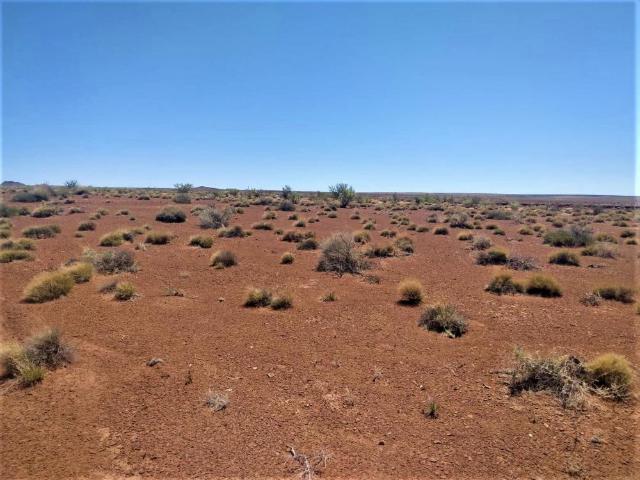 Land for sale in Navajo, Arizona