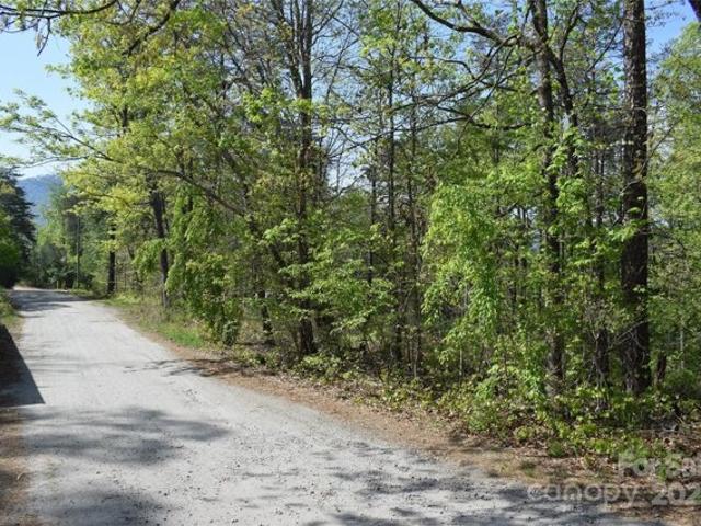 Land for sale in Mill Spring
