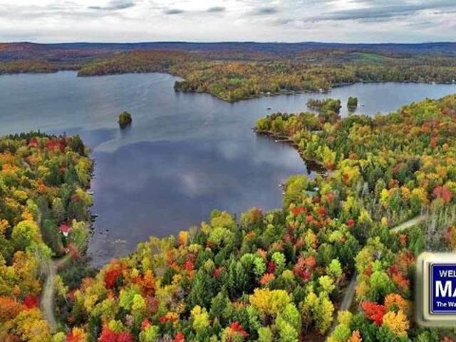 Land for sale in Linneus, Maine