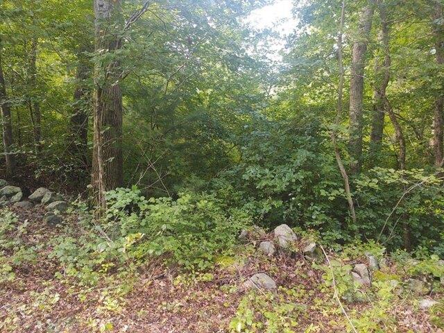 Land for sale in Bristol, Massachusetts