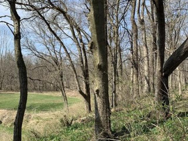 Land for sale in Morris, Illinois