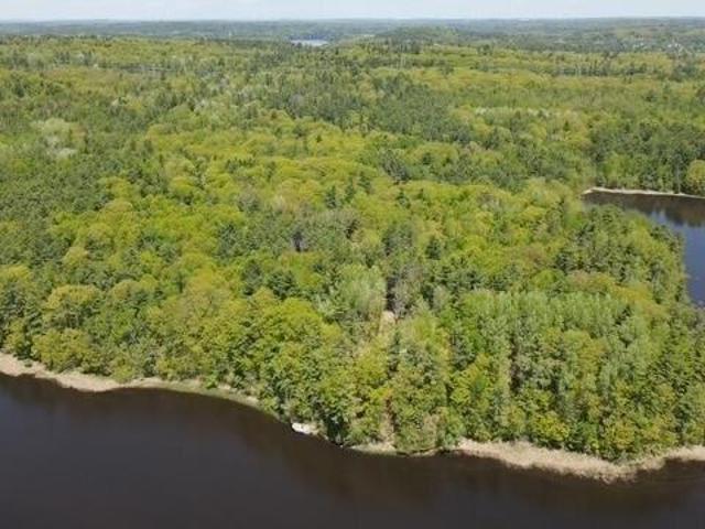 Land for sale in Waldo, Maine
