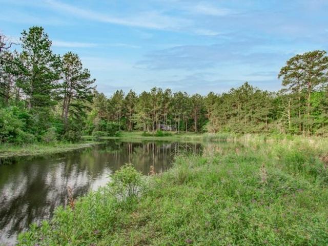 Land for sale in Walker, Texas