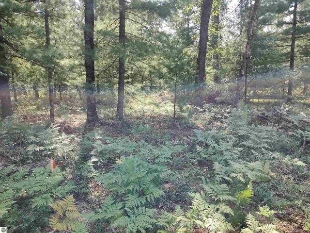 Land for sale in Alger