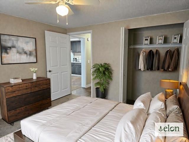 Apartment for rent in Frankfort