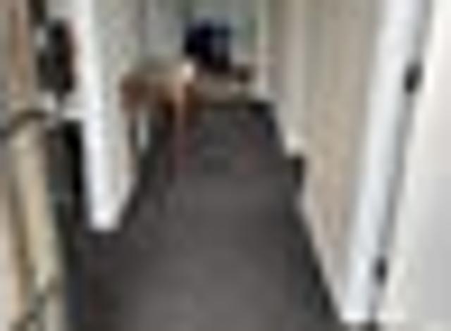 House for rent in Winton, Southland