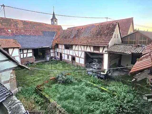 Maison vente à Wintzenbach, Collectivité européenne d'Alsace