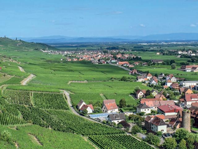 Appartement vente à Colmar-Ribeauvillé, Wintzenheim