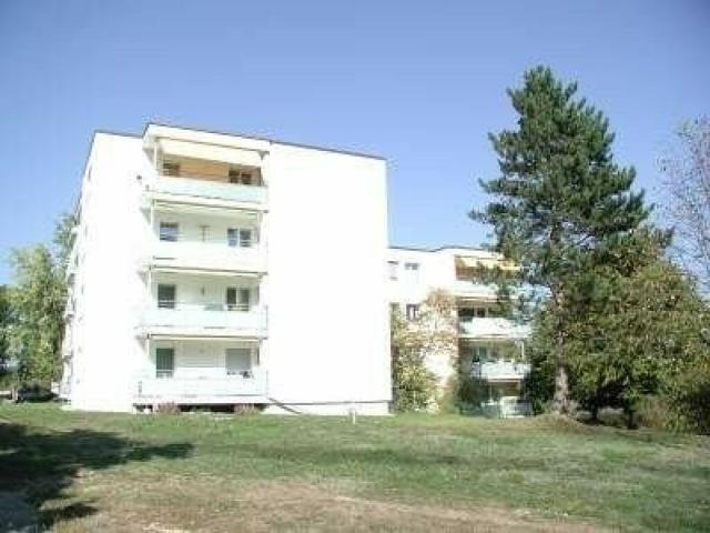 Wohnung mieten in Feuerthalen, Zürich
