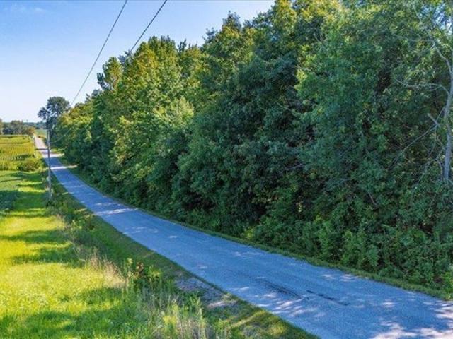 Land for sale in Tennyson, Indiana