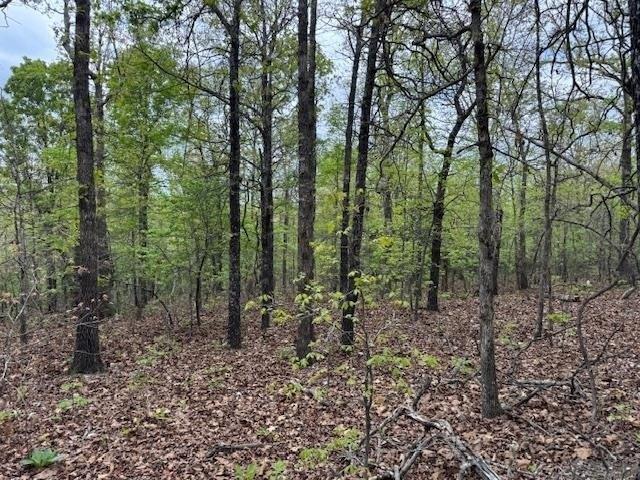 Land for sale in Ark