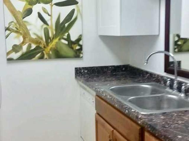 Apartment for rent in Alta Vista Tracts, Tampa