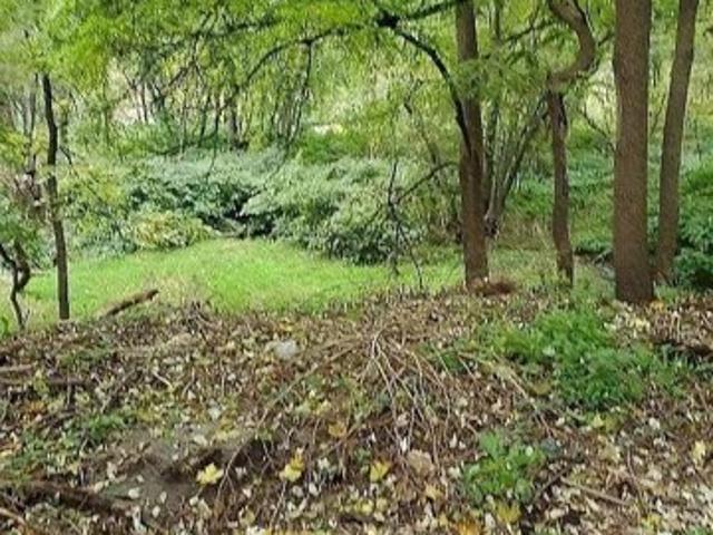 Land for sale in Binghamton Land for sale in Binghamton