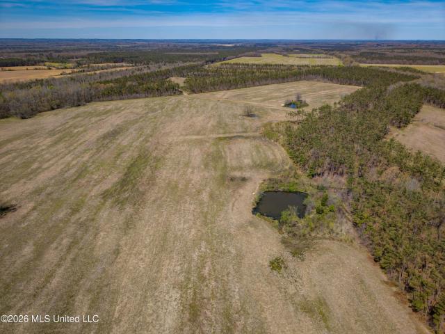Land for sale in Pontotoc, Mississippi