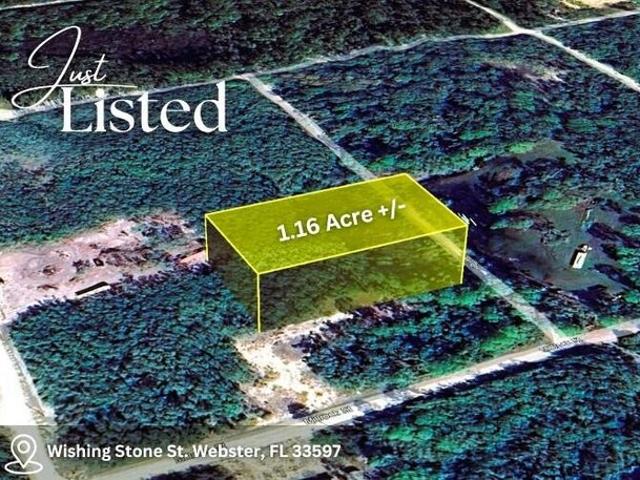 Land for sale in Webster, Florida
