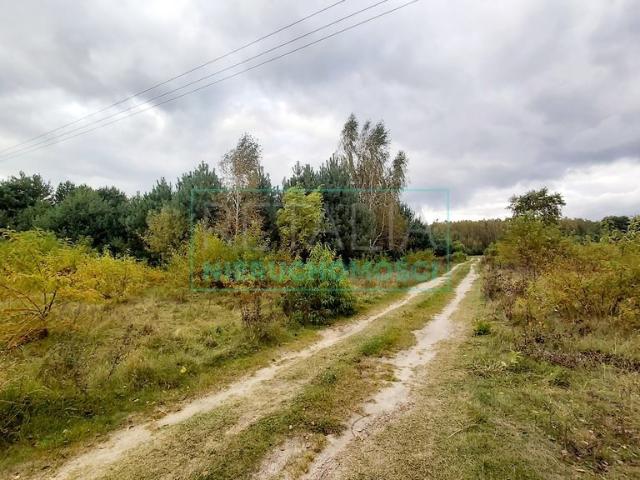 Grunt na sprzedaż w Wiskitki, Mazowieckie