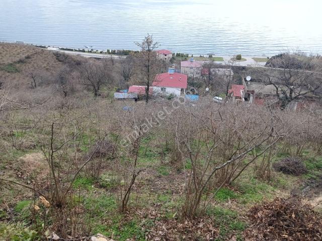 Giresun içerisinde satılık Villa