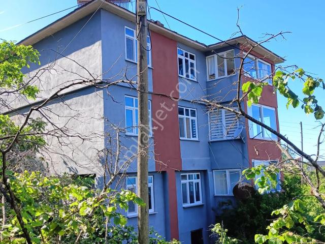 Değirmenağzı, Espiye içerisinde satılık Bina