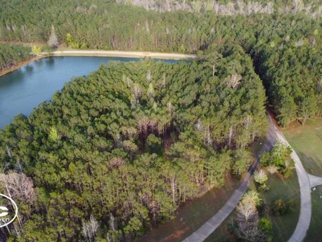 Land for sale in Butler, Alabama
