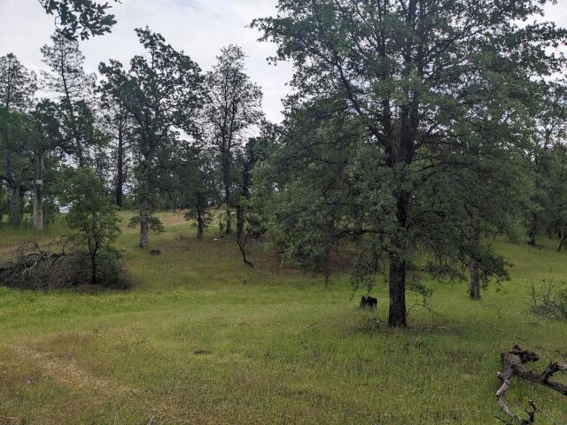 Land for sale in Shasta, California