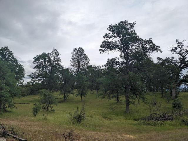 Land for sale in Shasta, California