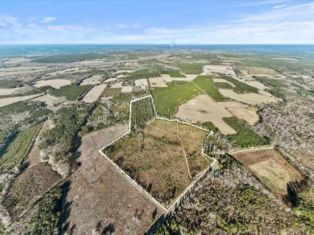 Land for sale in Kingstree, South Carolina