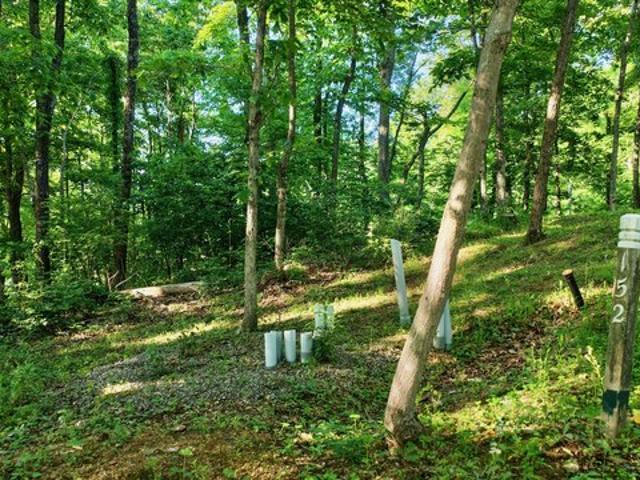 Land for sale in Caldwell, Greenbrier County