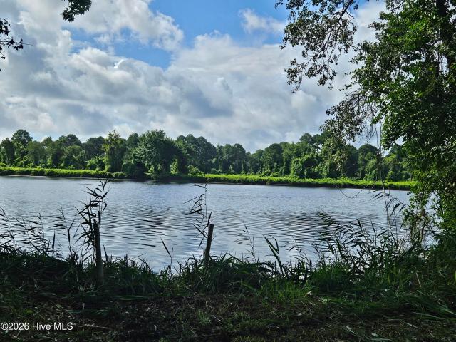 Land for sale in Belhaven, North Carolina