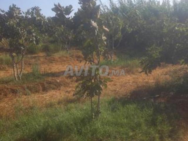 Propriété vente à Oulad Abbou, Gharb-Chrarda-Beni Hssen
