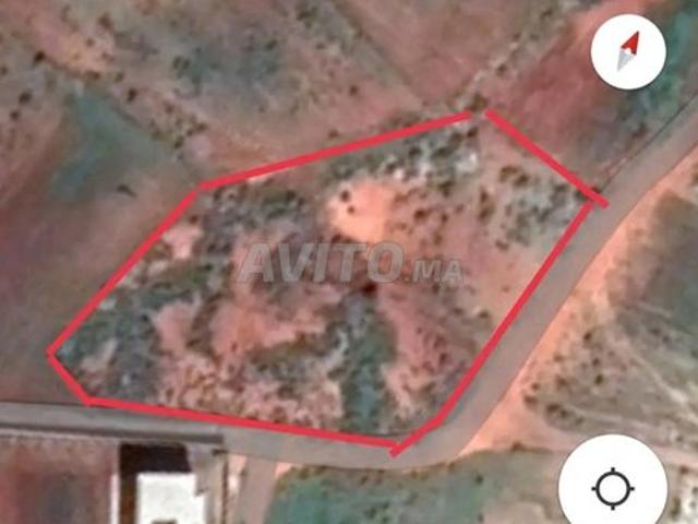 Propriété vente à Driouch
