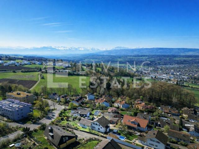 Haus kaufen in Widen, Aargau