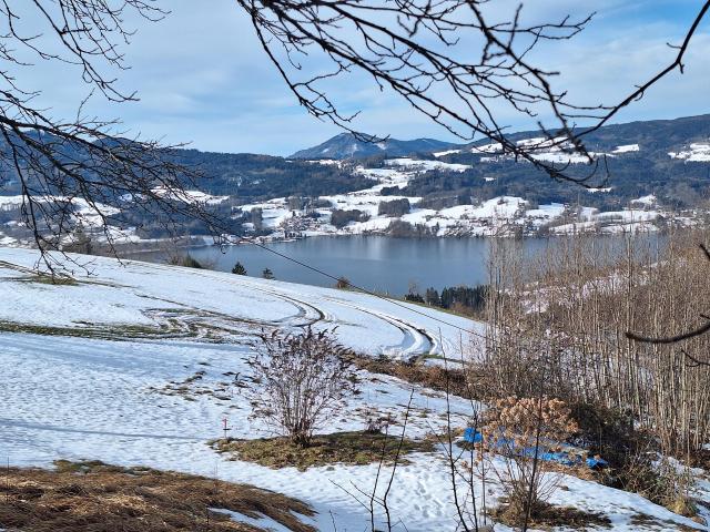 Grundstück kaufen in Steinbach am Attersee, Oberösterreich
