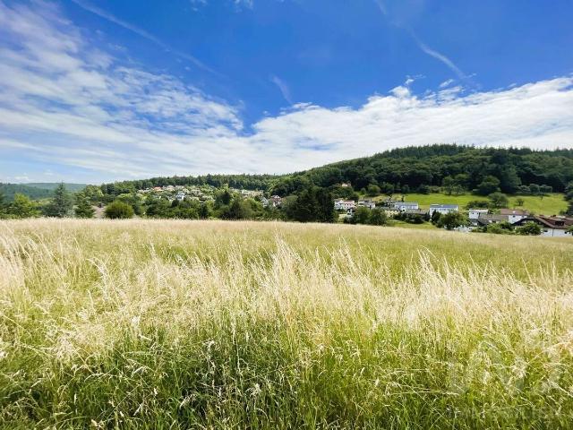 Wohnung kaufen in Wilhelmsfeld, Rhein-Neckar-Kreis