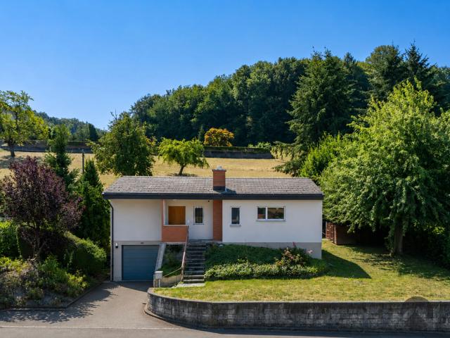 Reihenfamilienhaus kaufen in Safenwil, Aargau