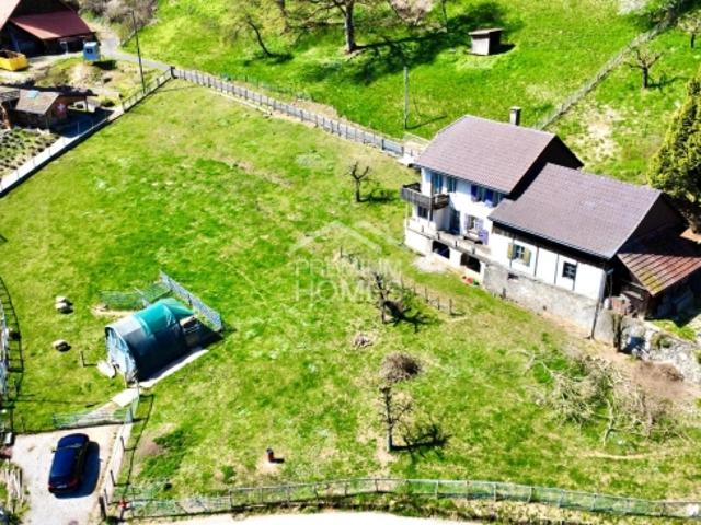 Einfamilienhaus kaufen in Niederbipp, Bern