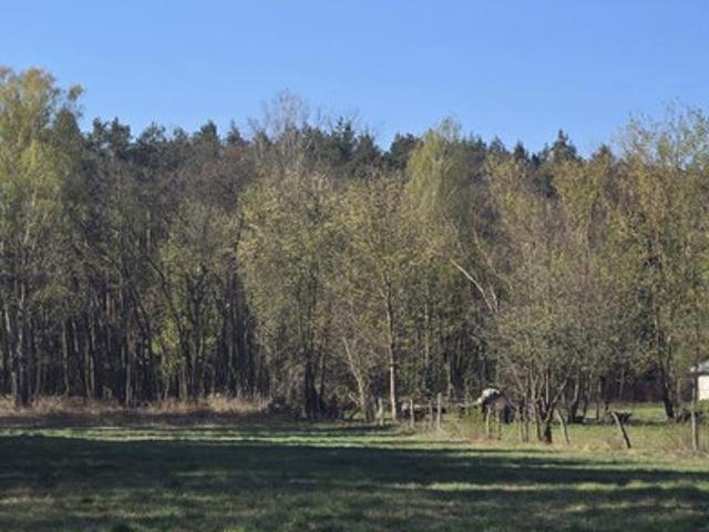 Grunt na sprzedaż w Wołomin, Mazowieckie