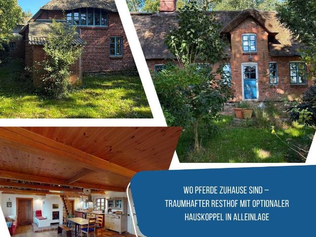 Haus kaufen in Witzwort, Schleswig-Holstein