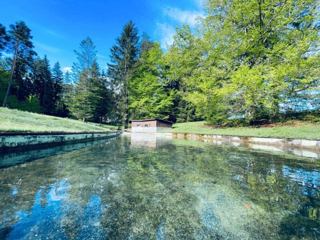 Haus kaufen in St. Jakob im Rosental, Kärnten