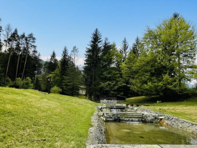 Haus kaufen in St. Jakob im Rosental, Kärnten
