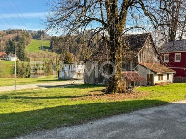 Immobilie kaufen in Jonatal, Wald (ZH)