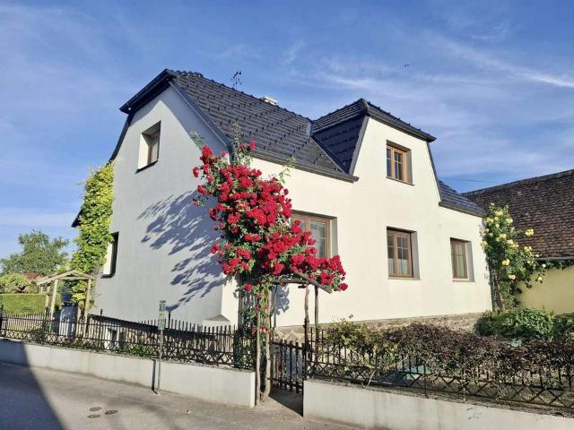 Haus kaufen in Hollabrunn, Niederösterreich