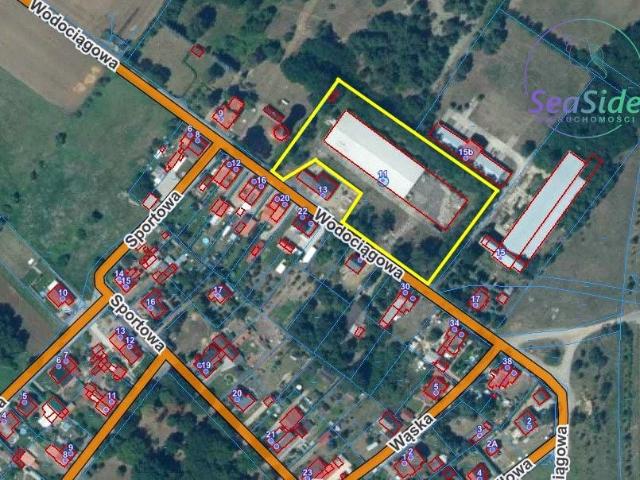 Mieszkanie do wynajęcia w Ośno Lubuskie, powiat słubicki