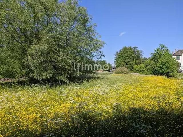 Terrain vente à Haguenau-Wissembourg, Woerth